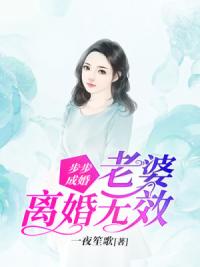 步步成婚：老婆，离婚无效
